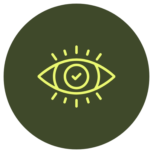 vision