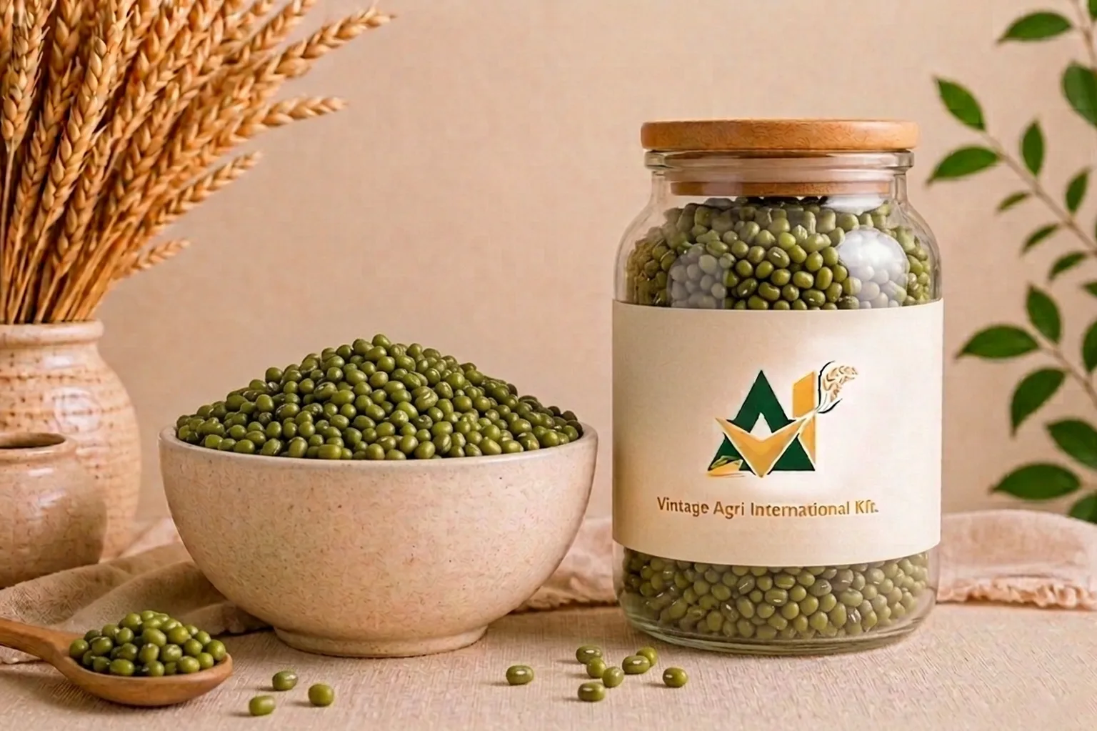 Green Whole Beans (Moong)